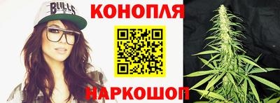 spice Кунгур