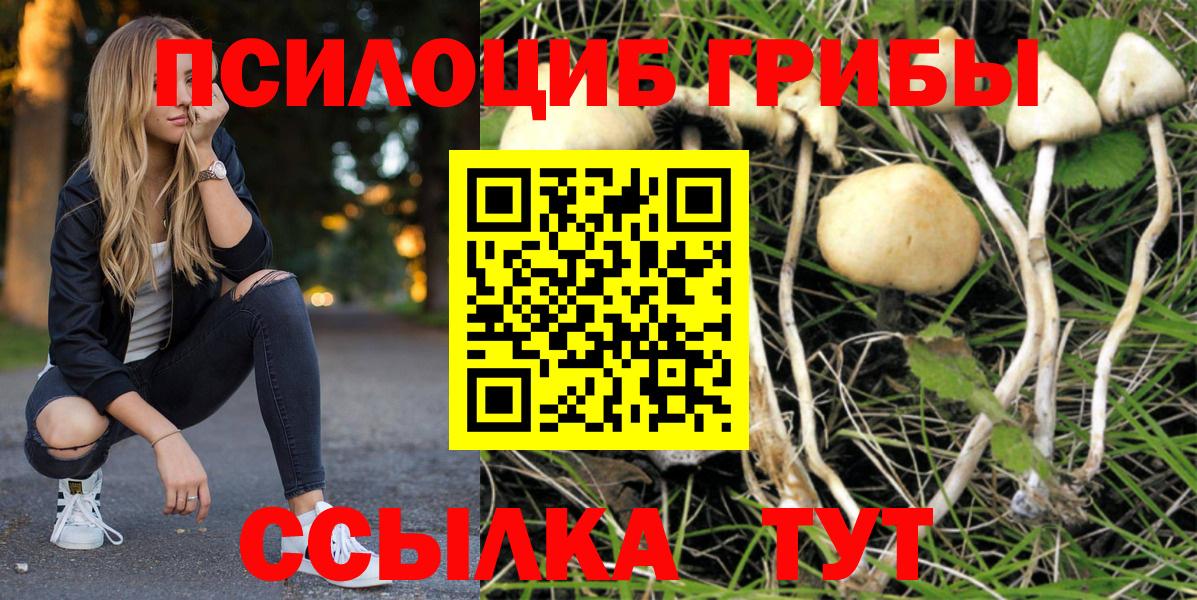 Псилоцибиновые грибы Magic Shrooms  Вход с VPN  Заволжье 